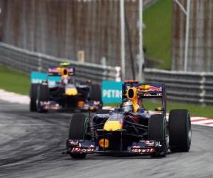 Puzle Sebastian Vettel, Mark Webber - Red Bull - Sepang 2010