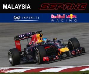 Puzle Sebastian Vettel - Red Bull - Grande Prêmio da Malásia 2014, 3º classificado