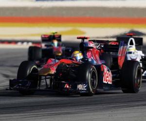 Puzle Sebastien Buemi - Toro Rosso - Bahrain 2010