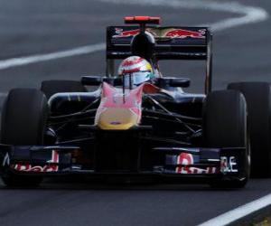 Puzle Sebastien Buemi - Toro Rosso - Hungaroring 2010