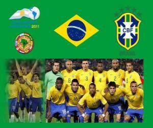 Puzle Seleção do Brasil, Grupo B, Argentina 2011