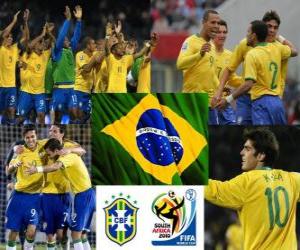 Puzle Seleção do Brasil, pelo Grupo G, África do Sul 2010