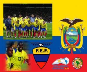 Puzle Seleção do Equador, Grupo B, Argentina 2011