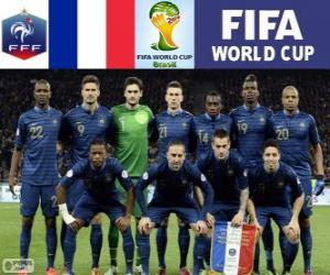 Puzle Seleção da França, Grupo E, Brasil 2014