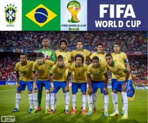 Puzle Seleção do Brasil, Grupo A, Brasil 2014
