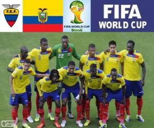 Puzle Seleção do Equador, Grupo E, Brasil 2014