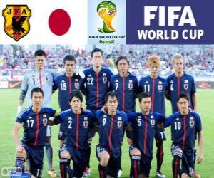 Puzle Seleção do Japão, Grupo C, Brasil 2014