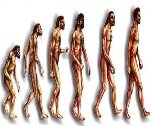 Puzle Sequência da evolução humana a partir do australopithecus Lucy para o homem moderno passando entre outros por homens de Heidelberg, Pequim, Neanderthal e Cromagnon