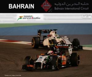 Puzle Sergio Perez - Force India - Grande Prêmio de Bahrain 2014, 3º classificado