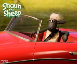 Puzle Shaun dirigindo um carro