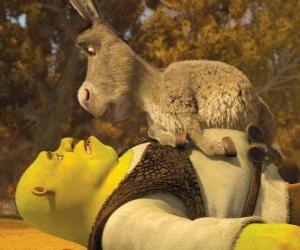 Puzle Shrek e Burro, olhando