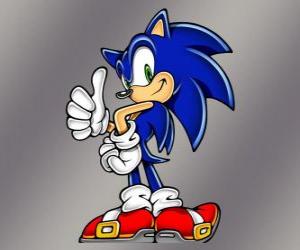 Puzle Sonic o Ouriço, o principal protagonista dos jogos de Sonic da Sega