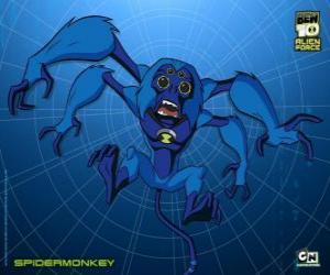 Puzle Spidermonkey  é o segundo menor alien,  um Arachnichimp de planeta é Aranhascimmia