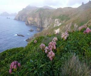 Puzle Subantarctic ilhas, incluindo as ilhas do Venetian, Bounty, Antípodas, Auckland e Campbell, localizado no Oceano Antártico, a sudeste de Nova Zelândia.