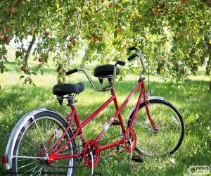 Puzle Tandem de dois ciclistas