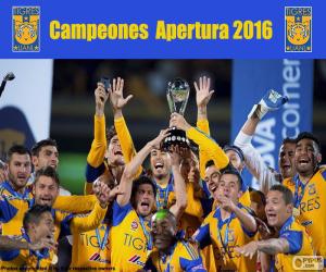 Puzle Tigres UANL, Apertura 2016