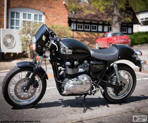 Puzle Triumph Thruxton 900, 2004