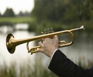 Puzle Trompete, instrumento musical de sopro, aerofone 