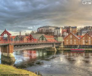 Puzle Trondheim, Noruega