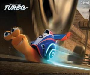 Puzle Turbo, o caracol mais rápido do mundo