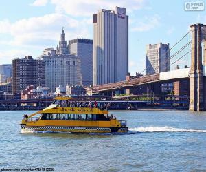 Puzle Táxi aquático de Nova York