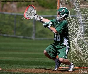 Puzle Um goleiro de lacrosse