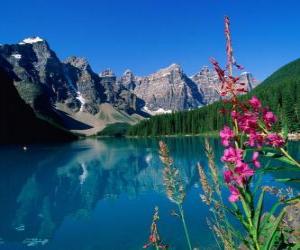 Puzle Um lago com vegetação de alta montanha e escritório