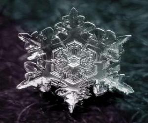 Puzle Um pequeno cristal de gelo que forma os flocos de neve