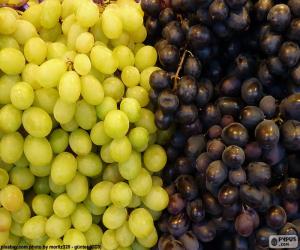 Puzle Uvas