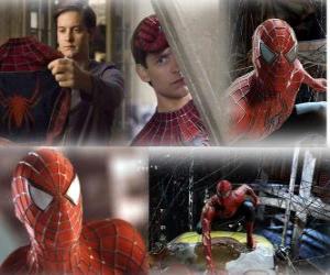 Puzle Várias imagens do Homem Aranha