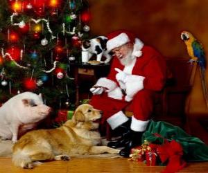 Puzle Vários animais com Papai Noel