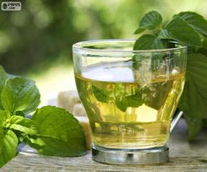 Puzle Xícara de chá verde