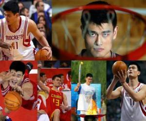 Puzle Yao Ming se aposentar do basquete profissional (2011)