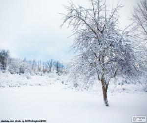 Puzle Árvore de neve