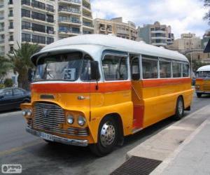 Puzle Ônibus de Malta