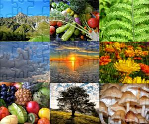 Puzzles de Natureza