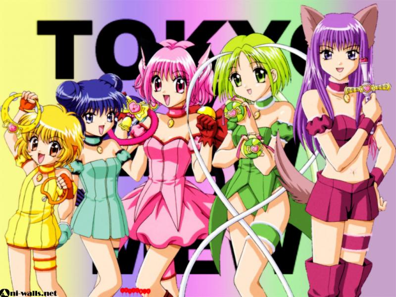 Tokyo Mew Mew Power puzzle