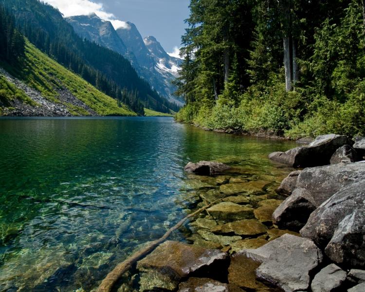 floresta e rio lindo puzzle