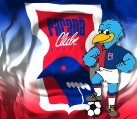 paraná clube gralha azul puzzle