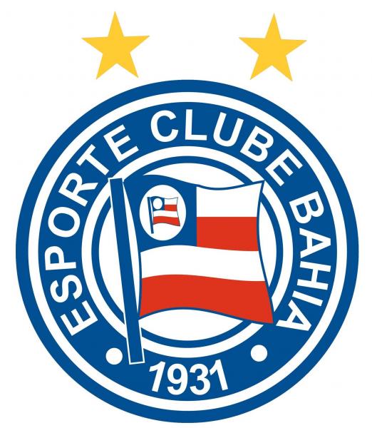 Escudo Bahia puzzle