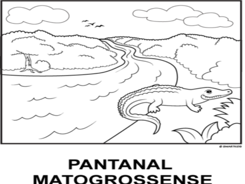 Pantanal puzzle