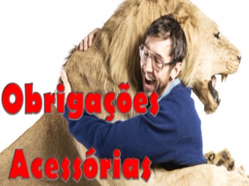 Obrigaçõess Acessórias puzzle