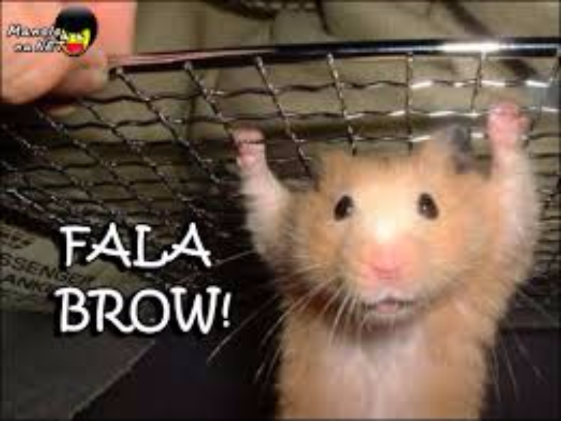 Good luncky boa sorte a todos  puzzle