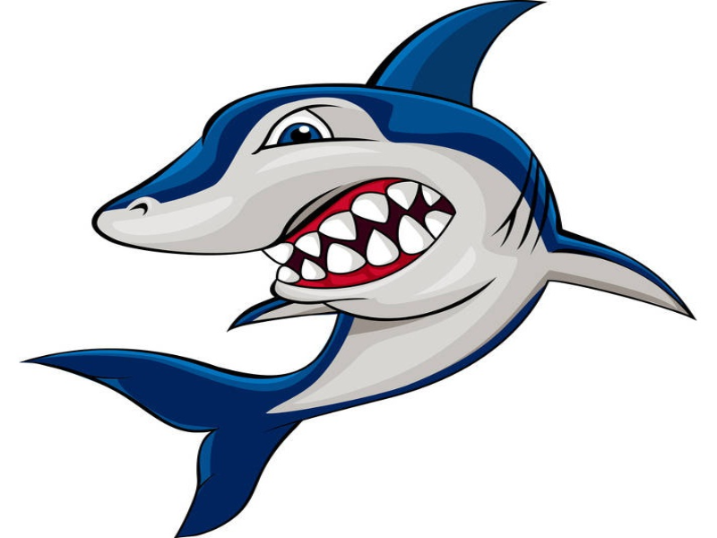 shark puzzle