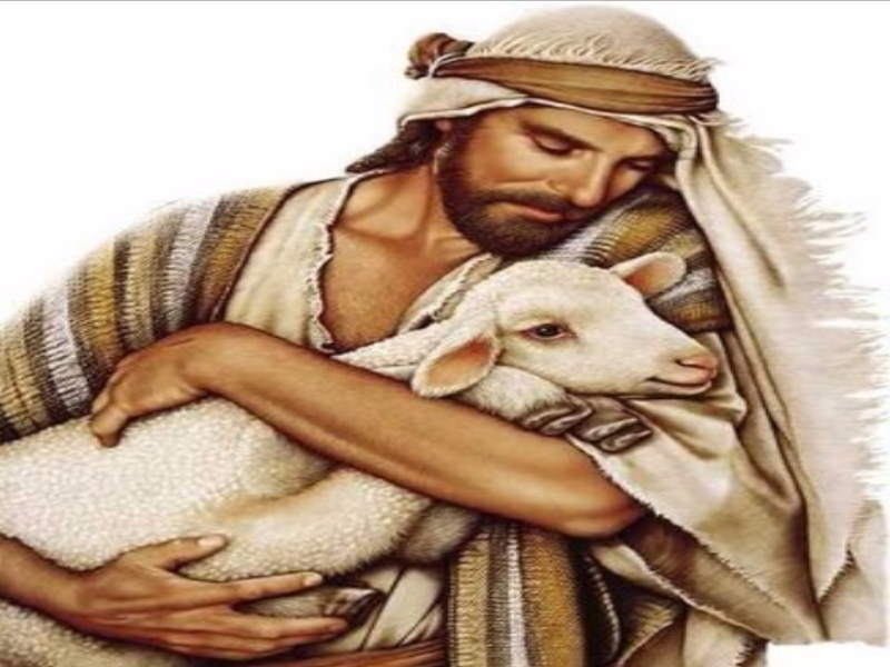 jesus bom pastor puzzle