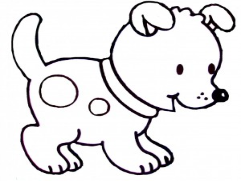Cão brincalhão puzzle