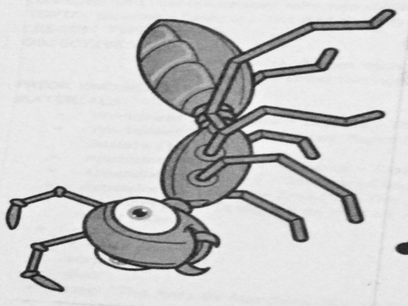 ANT-PICTURE puzzle