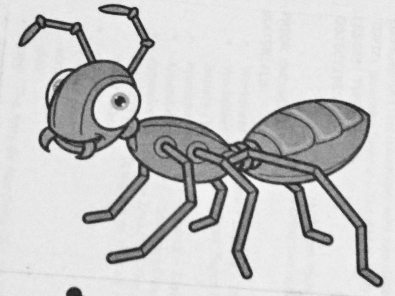 ANT2-PIC puzzle