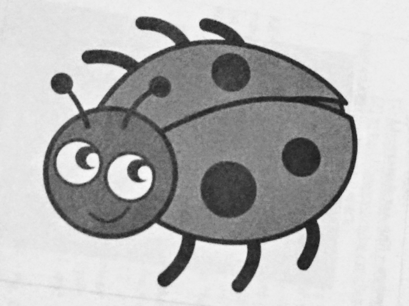 INSECT LADYBUG puzzle