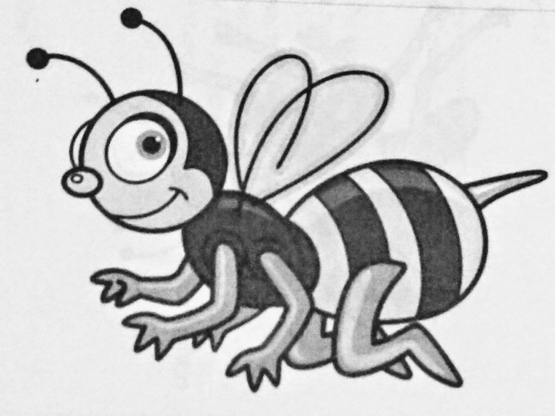 INSECT BEE puzzle